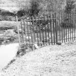 IMG_9287clairW