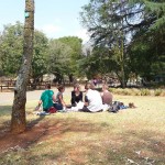picniczoo